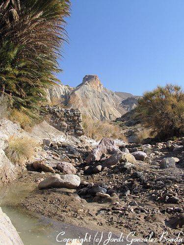 Desierto de Tabernas - fotografía JGB20050109-0010.jpg