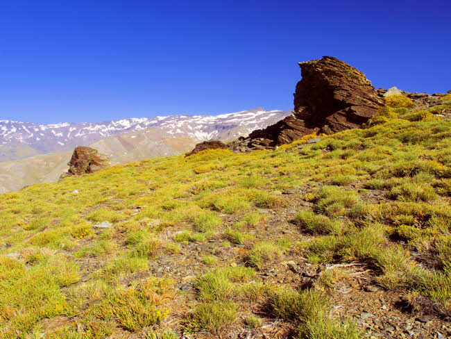 Sierra Nevada - fotografía JGB20140608_0003.jpg