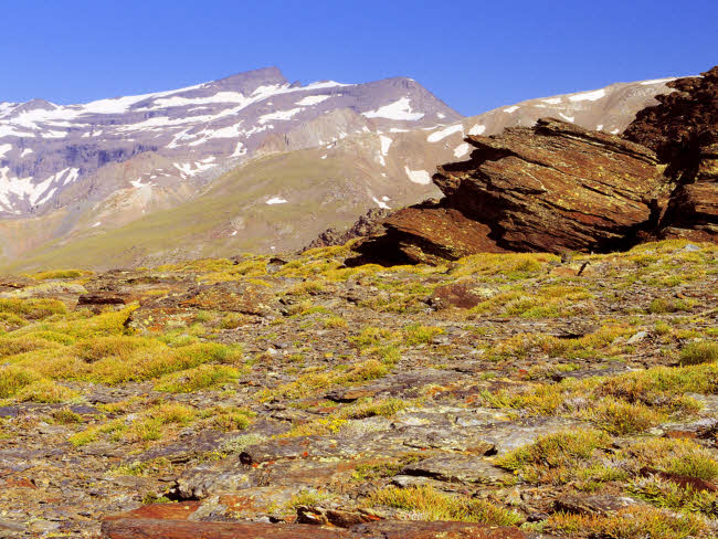 Sierra Nevada - fotografía JGB20140608_0010.jpg