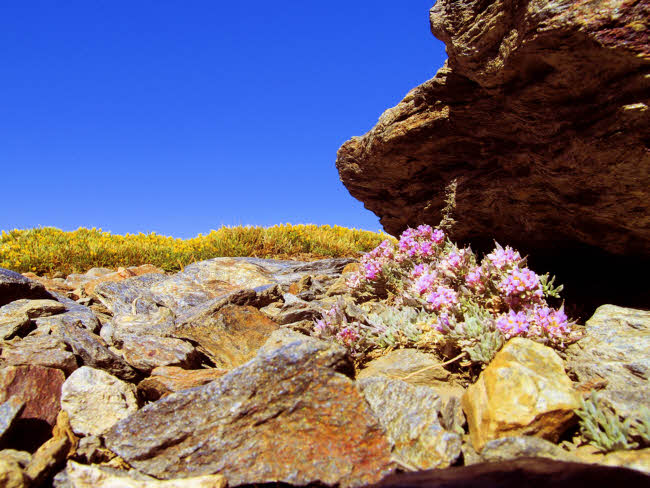 Sierra Nevada - fotografía JGB20140608_0014.jpg