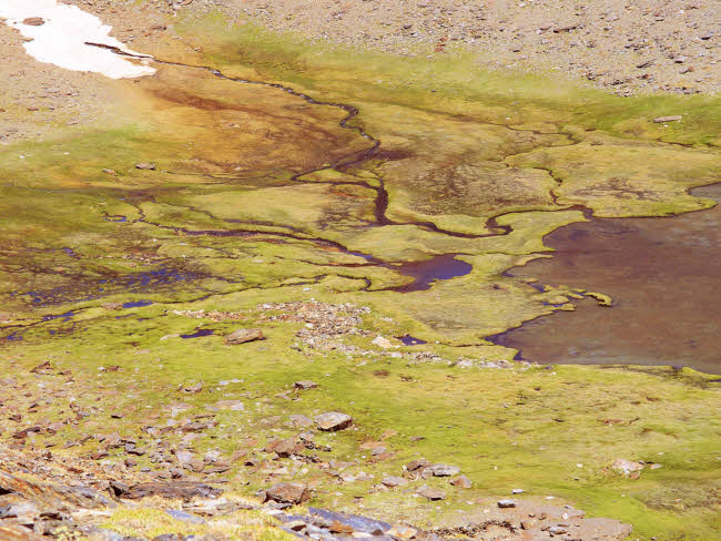 Sierra Nevada - fotografía JGB20140608_0035.jpg