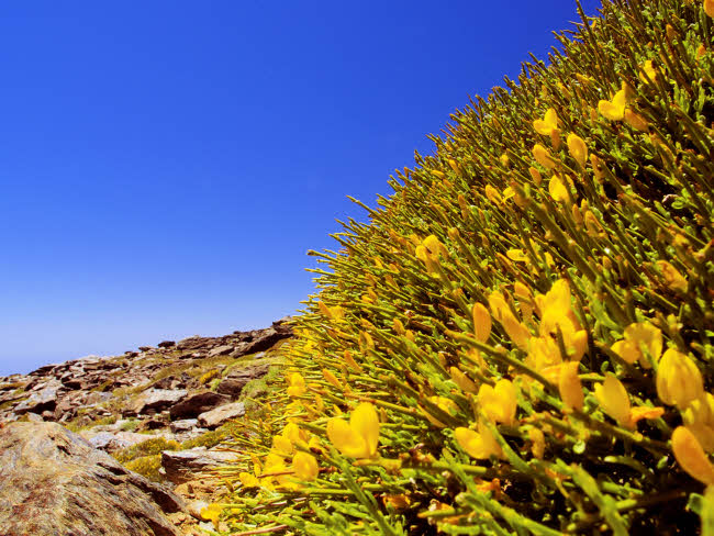 Sierra Nevada - fotografía JGB20140608_0047.jpg