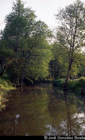 Cortelazor - 35mm - fotografía 0019.jpg