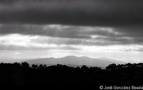 Cortelazor - 35mm - fotografía 0024.jpg