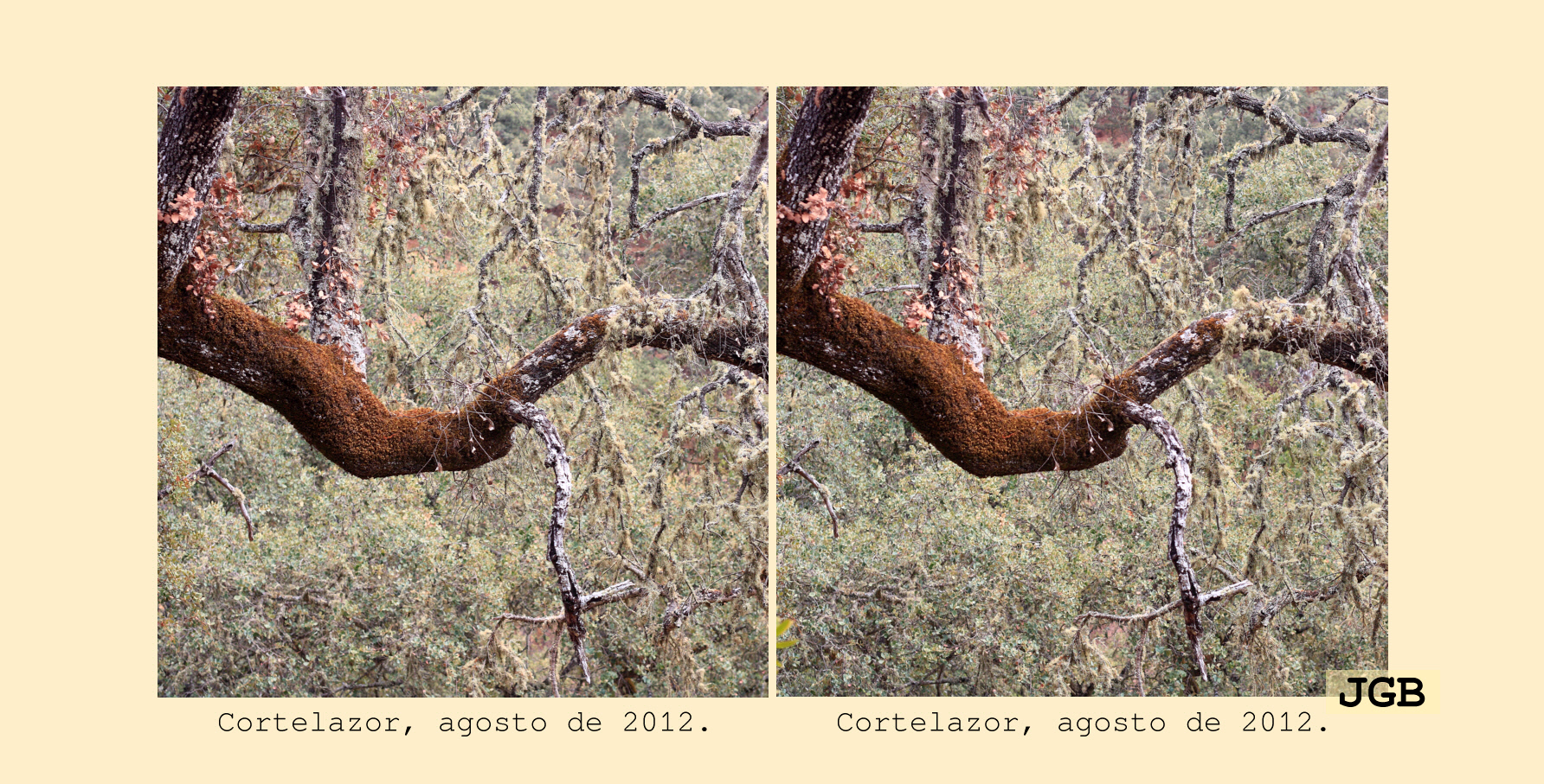 Cortelazor-3D - fotografía JGB20120830_0011d.JPG