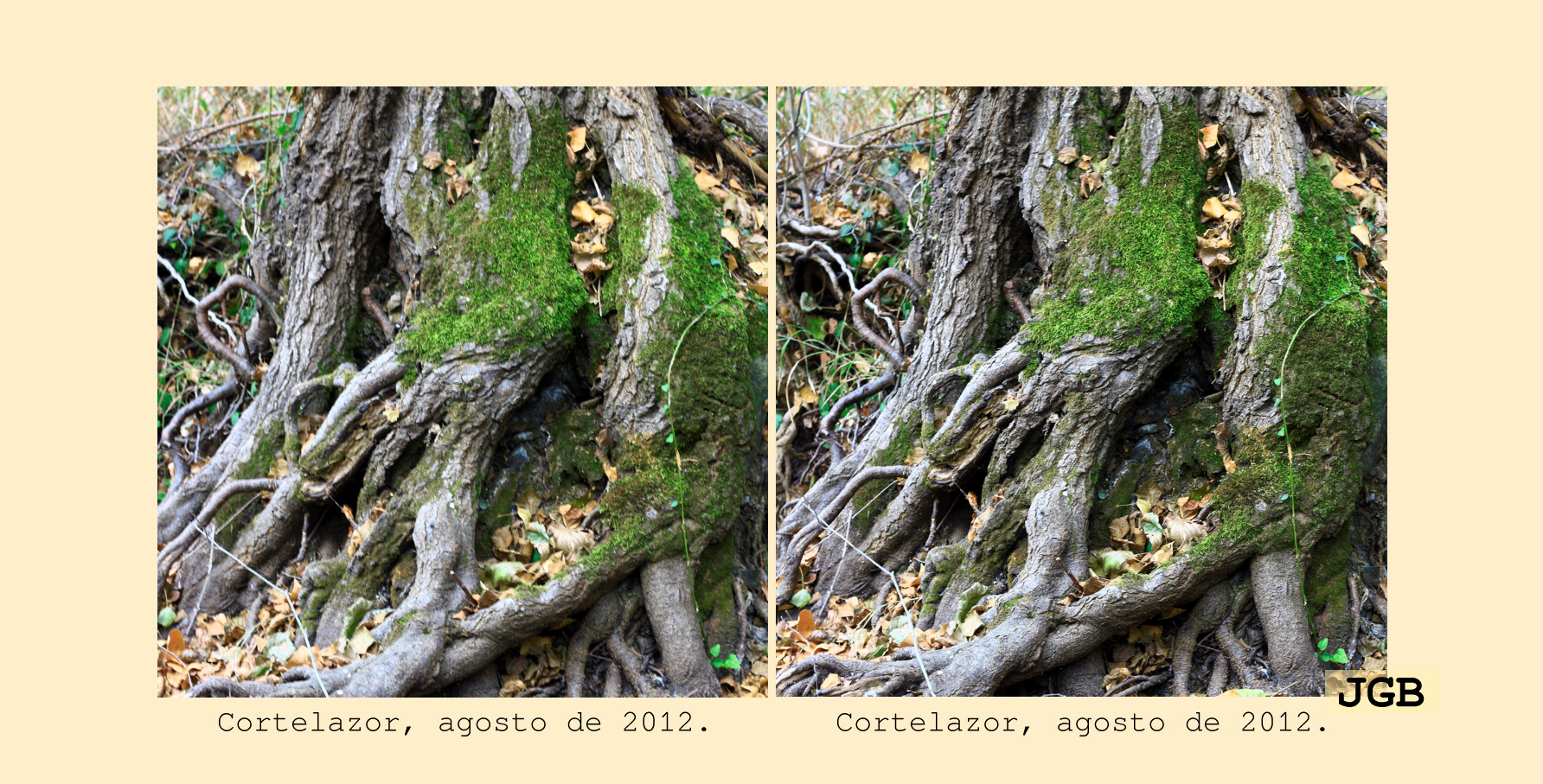 Cortelazor-3D - fotografía JGB20120830_0024d.JPG