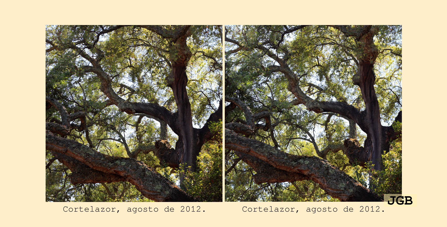 Cortelazor-3D - fotografía JGB20120830_0045d.JPG