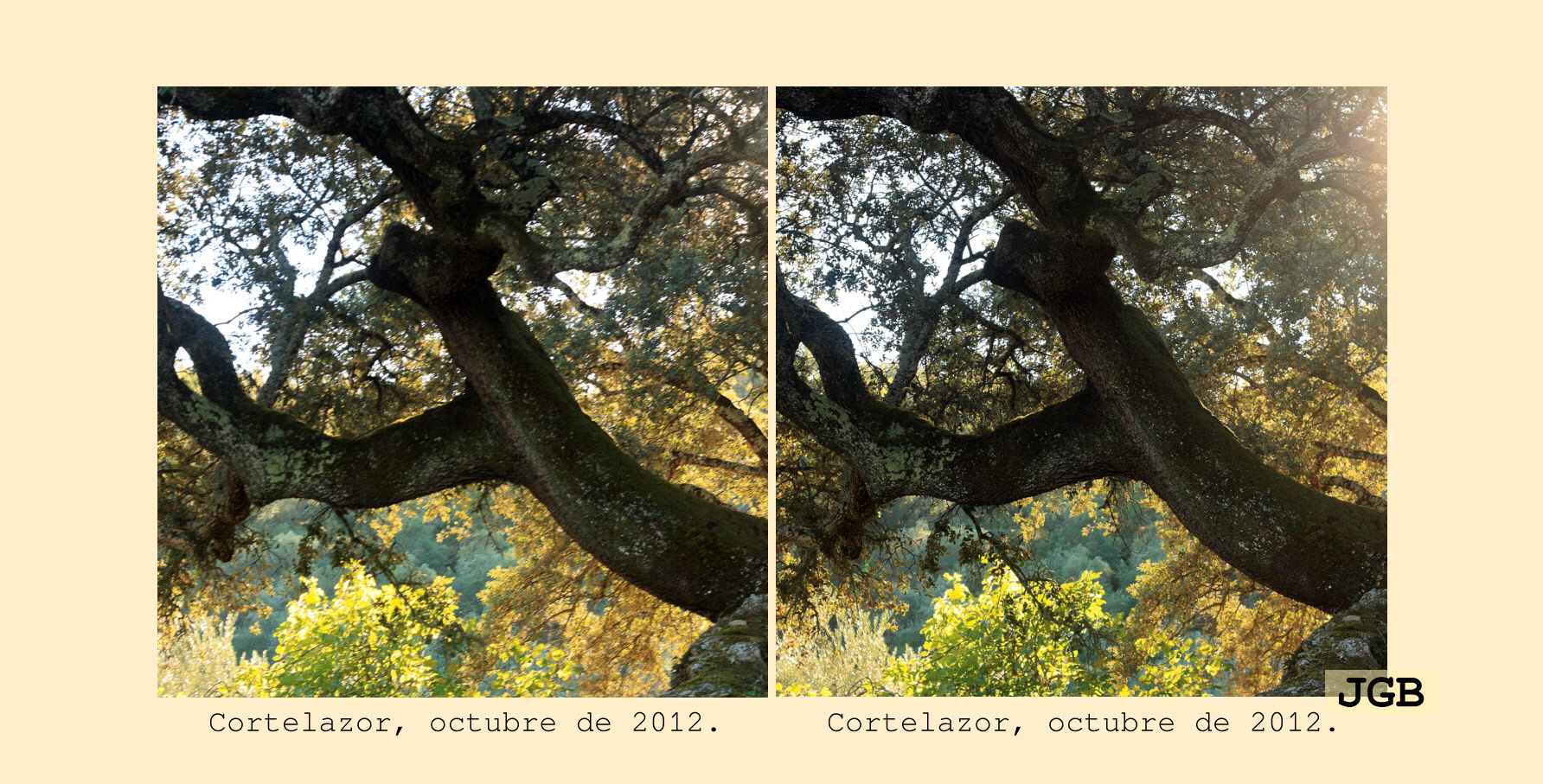 Cortelazor-3D - fotografía JGB20121028_0034d.JPG