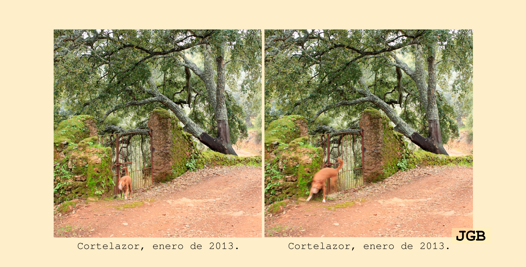 Cortelazor-3D - fotografía JGB20130108_0009d.JPG