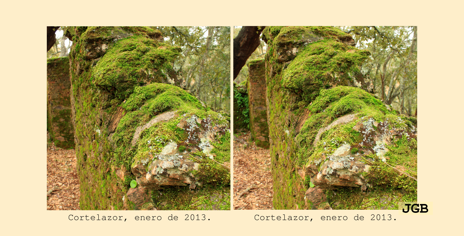 Cortelazor-3D - fotografía JGB20130108_0011d.JPG