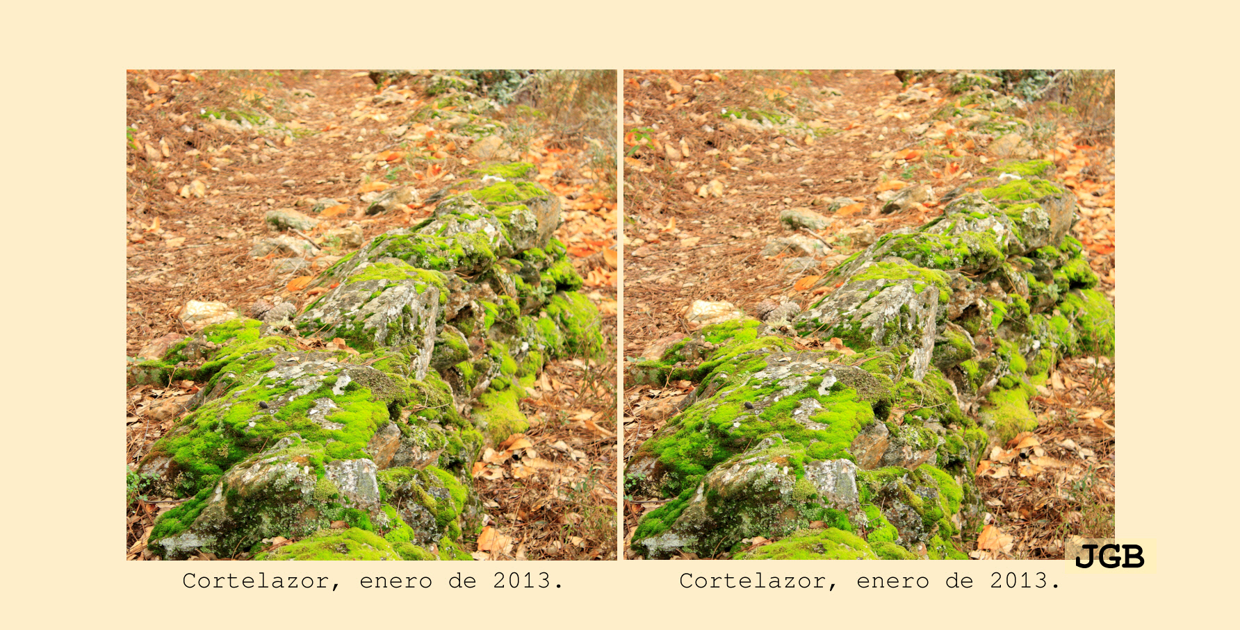 Cortelazor-3D - fotografía JGB20130108_0035d.JPG