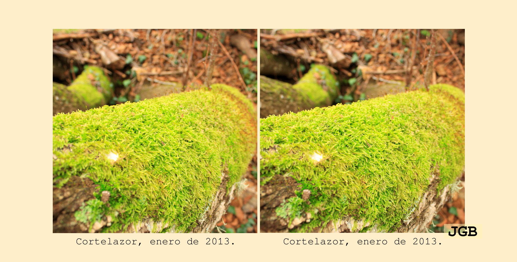 Cortelazor-3D - fotografía JGB20130108_0048d.JPG