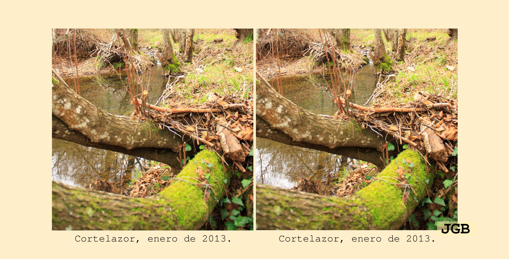 Cortelazor-3D - fotografía JGB20130108_0050d2.JPG