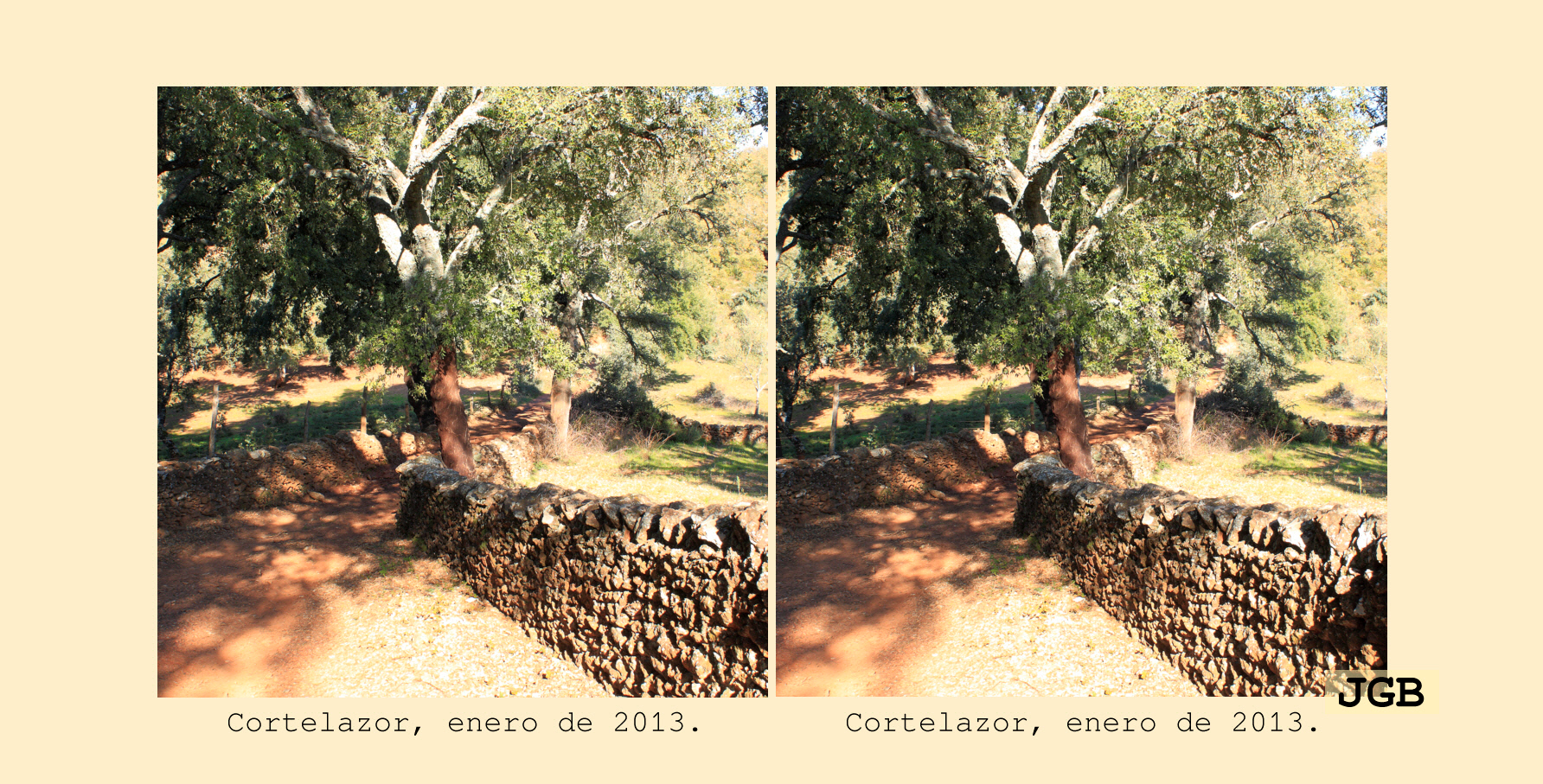 Cortelazor-3D - fotografía JGB20130108_0080d.JPG