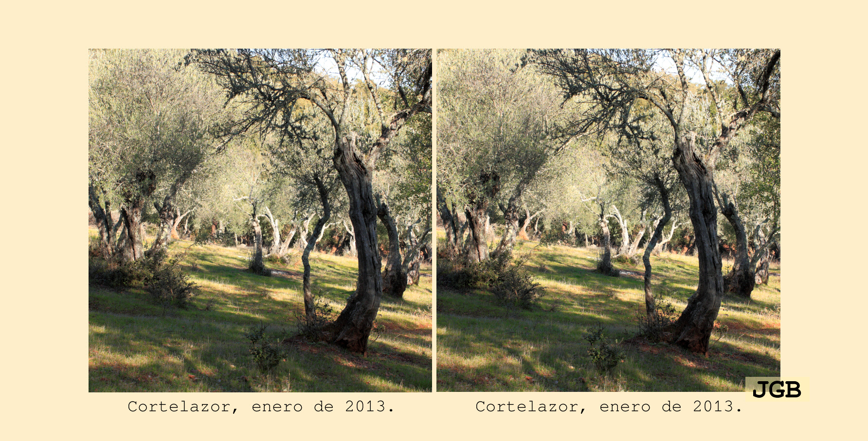 Cortelazor-3D - fotografía JGB20130108_0086d.JPG