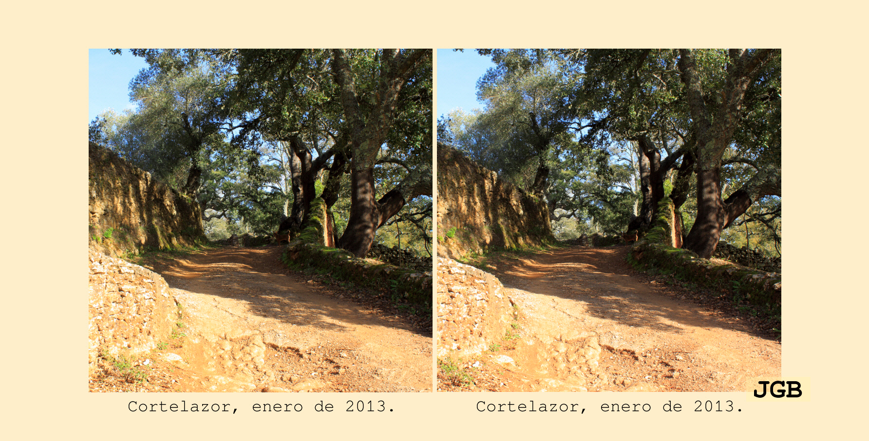 Cortelazor-3D - fotografía JGB20130108_0088d.JPG