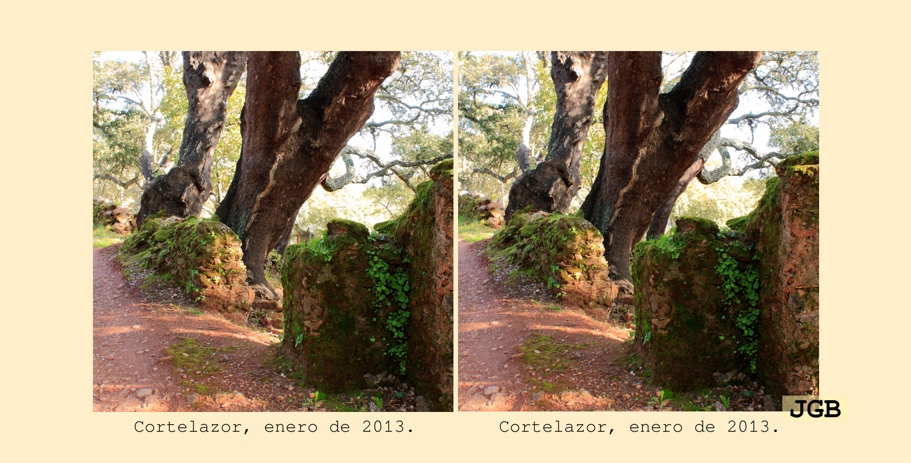 Cortelazor-3D - fotografía JGB20130108_0092d.JPG