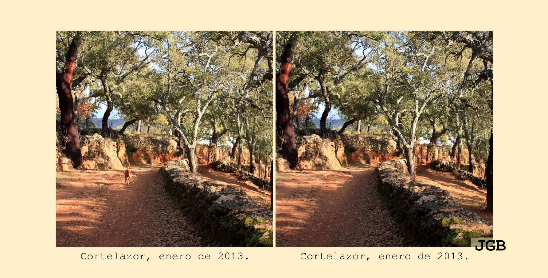 Cortelazor-3D - fotografía JGB20130108_0096d2.JPG