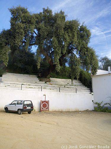 Linares de la Sierra - fotografía JGB20071109_0001.jpg