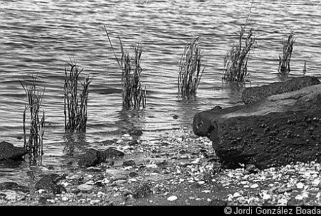 Otros sitios de la provincia de Huelva - 35mm - fotografía 0006.jpg