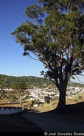 Sierra de Aracena y Picos de Aroche - 35mm - fotografía 0002.jpg