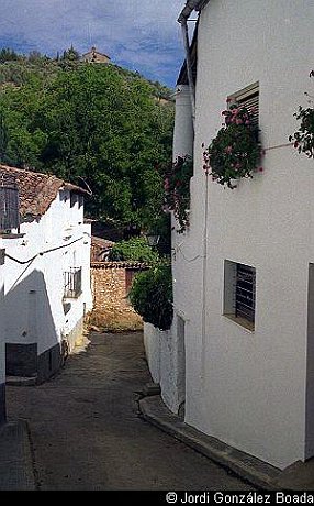 Sierra de Aracena y Picos de Aroche - 35mm - fotografía 0028.jpg