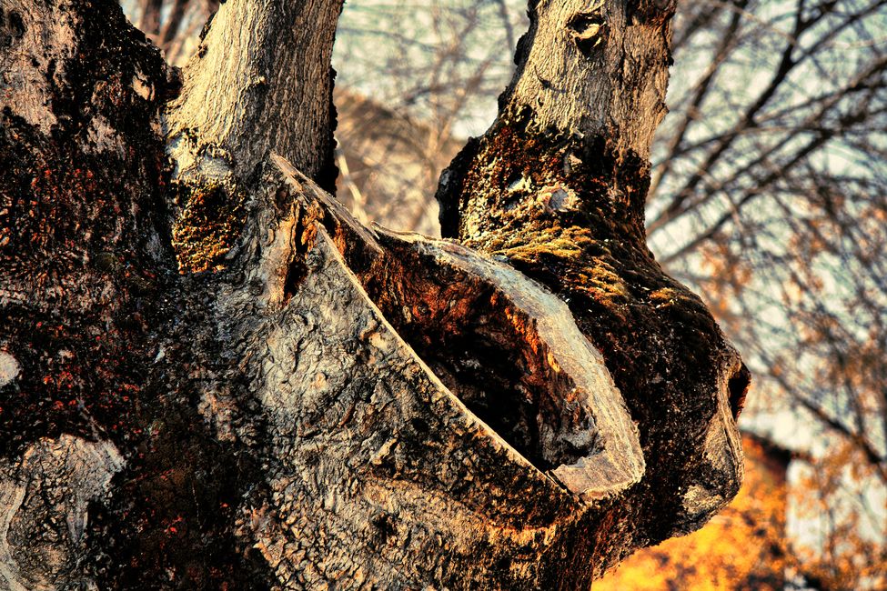 Úbeda - fotografía JGB20110212_0024.jpg