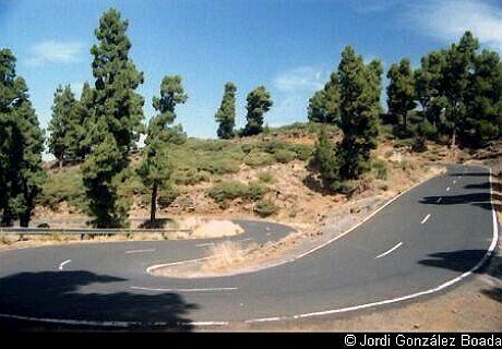 La Palma - Campo - 35mm - fotografía 0012.jpg