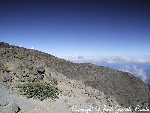 La Palma - fotografía JGB20060411-0029.jpg