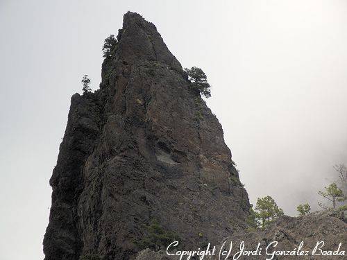 La Palma - fotografía JGB20060411-0092.jpg