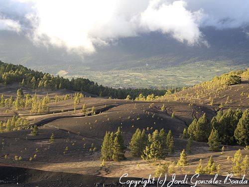 La Palma - fotografía JGB20060414-0032.jpg