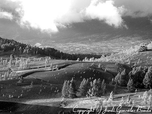 La Palma - fotografía JGB20060414-0032bn.jpg