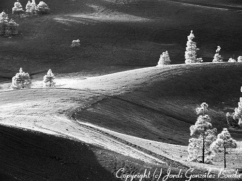 La Palma - fotografía JGB20060414-0035bn.jpg