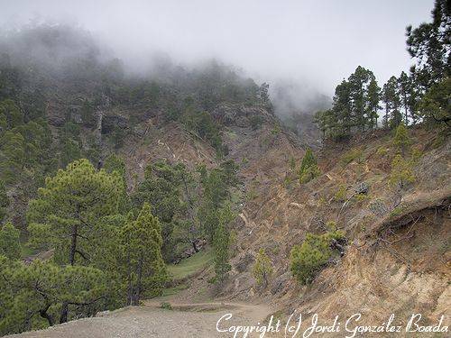 La Palma - fotografía JGB20060430-0018.jpg