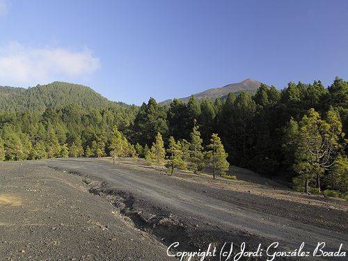 La Palma - fotografía JGB20060430-0026.jpg