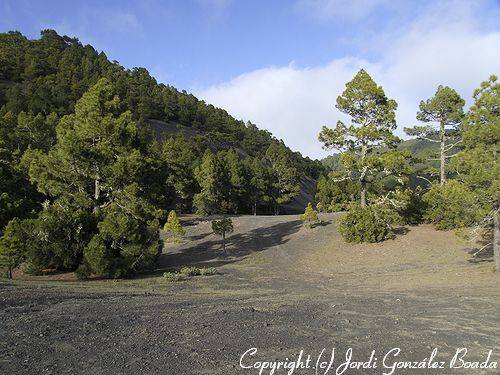 La Palma - fotografía JGB20060430-0027.jpg