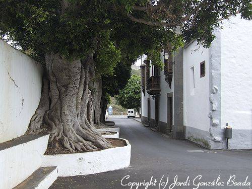 La Palma - fotografía JGB20060509-0002.jpg