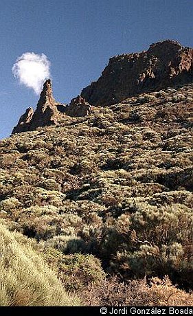 Cañadas del Teide - 35mm - fotografía 0013.jpg