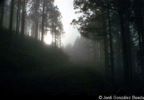 De la Esperanza al Teide - 35mm - fotografía 0003.jpg