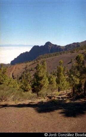 De la Esperanza al Teide - 35mm - fotografía 0005.jpg