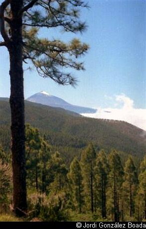 Mar de nubes - 35mm - fotografía 0001.jpg