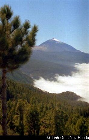 Mar de nubes - 35mm - fotografía 0005.jpg